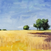 SOMMERLANDSCHAFT